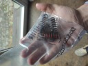 GRIP KIT REPAIR TRIAL BETA TECHNO / REV / EVO 200 250 270 300  photo 4