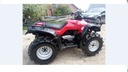 HONDA TRX FOREMAN 400 4X4 TRANSPORT REGALO 