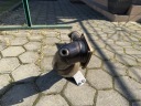 DOWNPIPE HYUNDAI I30N 2.0T FRIEDRICH MOTORSPORT Z КАТАЛІЗАТОРОМ 200 CPI E6  (1083043857) фото min 6
