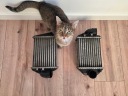 AUDI S4 B5 ІНТЕРКУЛЕР OEM 2.7BIT  (1093025340) фото min 3