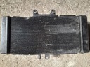 GOOD RADIATOR WATER SUZUKI BANDIT 650 1200 1250 