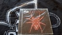 Wolf Spider V  cd