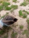 ГЛУШИТЕЛЬ ROMET KADET OGAR КОМАР КОЛЕНО ВЫПУСКНОЕ  фото 4