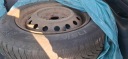 ШИНИ ЗИМОВІ I КОЛЕСА TOYOTA YARIS R14  (1090398296) фото min 3