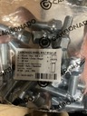 SCREW M12X1.25 STOZKOWA KEYS 17 28 MM 20 PC. 