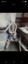 ЗАГЛУШКА ПРОВОДИ ГАЛЬМІВНОГО M10X1 VW BMW ЗАГЛУШКА  (1091403608) фото min 2