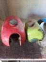 TANK WSK ROMET, WINGS  photo 3