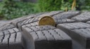 КОЛЕСА 16'/5X110 GOODYEAR ULTRAGRIP +; 215/65R16; RENEGADE, COMPASS II, FIAT  (1093845475) фото min 10