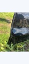 ДВЕРІ ЛІВИЙ ЗАД ЛІВЕ ЗАДНІ LT SEAT IBIZA V 6F (OD17R.)  (1088188060) фото min 2