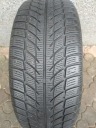 ШИНА ЗИМОВА 205/55R16 SW608 GOODRIDE 91H  (1081972079) фото min 5