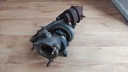 ТУРБОКОМПРЕСОР MITSUBISHI TD04L-14T SAAB 9-3 AERO  (1091037697) фото min 3
