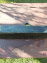 ИНТЕРКУЛЛЕР JRSPEC 550 X230 X 65MM  фото 2