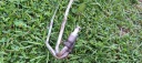 SPIGOTS DYNAMIC DRIVE BMW E60 E61 E63 E64 DD AKTYWNA STABILIZACJA STABILIZ  photo 3