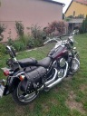 Kawasaki Chopper VN800 clasic (1085498607) фото min 13
