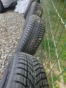 ШИНИ DUNLOP WINTER 195/65R15 91T  (1091925889) фото min 4