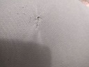КРІСЛО АВТО ДЛЯ ДІТЬМИ 15-36 KG KIDDY SMARTFIX SINGAPORE  (1088496830) фото min 10