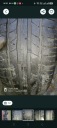 4X КОМПЛЕКТ КОЛІС LETNICH DEBICA PRESTO 205/55 R15 91V 5X100  (1091000183) фото min 3