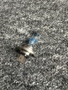 ЛАМПОЧКА PHILIPS RACINGVISION GT200 H7  (1087093541) фото min 4