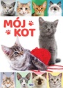 Моя кошка