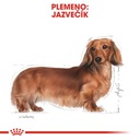 Suché krmivo Royal Canin hydina pre aktívnych psov 1,5 kg Hmotnosť produktu 1.5 kg