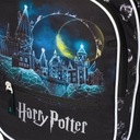 Školský batoh viackomorový Harry Potter BAAGL čierny 25 l Hrdina Harry Potter