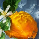 Guerlain Aqua Allegoria Orange Soleia toaletná voda 125 ml EDT FOLIA WAWA Vonná skupina citrusová