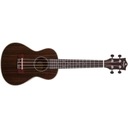 Prodipe Guitars BC220 koncert ukulele Szín sokszínű