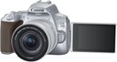 Комплект Canon 250D + 18-55 IS STM, серебристый