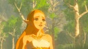 Игра NINTENDO Legend of Zelda: Дыхание дикой природы