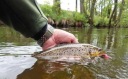 Гумовий Fishup 8 Szt