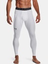 Мужские компрессионные леггинсы Under Armour HeatGear 1361586100 L