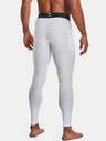 Мужские компрессионные леггинсы Under Armour HeatGear 1361586100 L