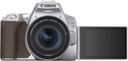 Комплект Canon 250D + 18-55 IS STM, серебристый