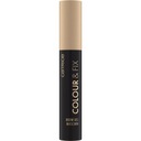 Colour & Fix Brow Gel Mascara gél na obočie 010 Blonde 5ml Druh gél