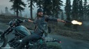 Days Gone (PC) STEAM KLUCZ PL Platforma PC