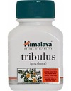 Výživový doplnok pre mužov Himalaya Tribulus Gokshura 60 ks Kód výrobcu 8901138501693