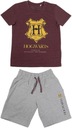 Tričko Harry Potter Rokfortské šortky Detská súprava HP 140 EAN (GTIN) 8427934548200