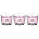 Yankee Candle Pink Cherry & Vanilla Set Vôňa ovocná sladká