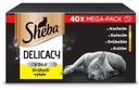 SHEBA Delicacy Drobiowe Smaki - mokra karma dla kota w galaretce 40x85g Marka Sheba