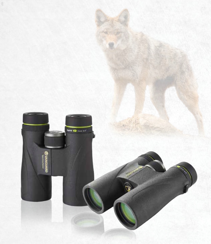 Lornetka 10x50 Vanguard Spirit ED 1050