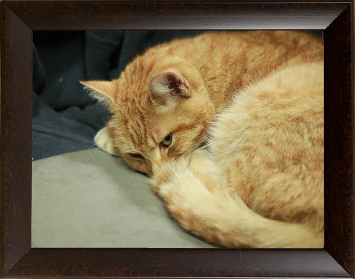 Rama na wymiar oprawa obrazów plakaty lustra skos 7341794903 - Allegro.pl