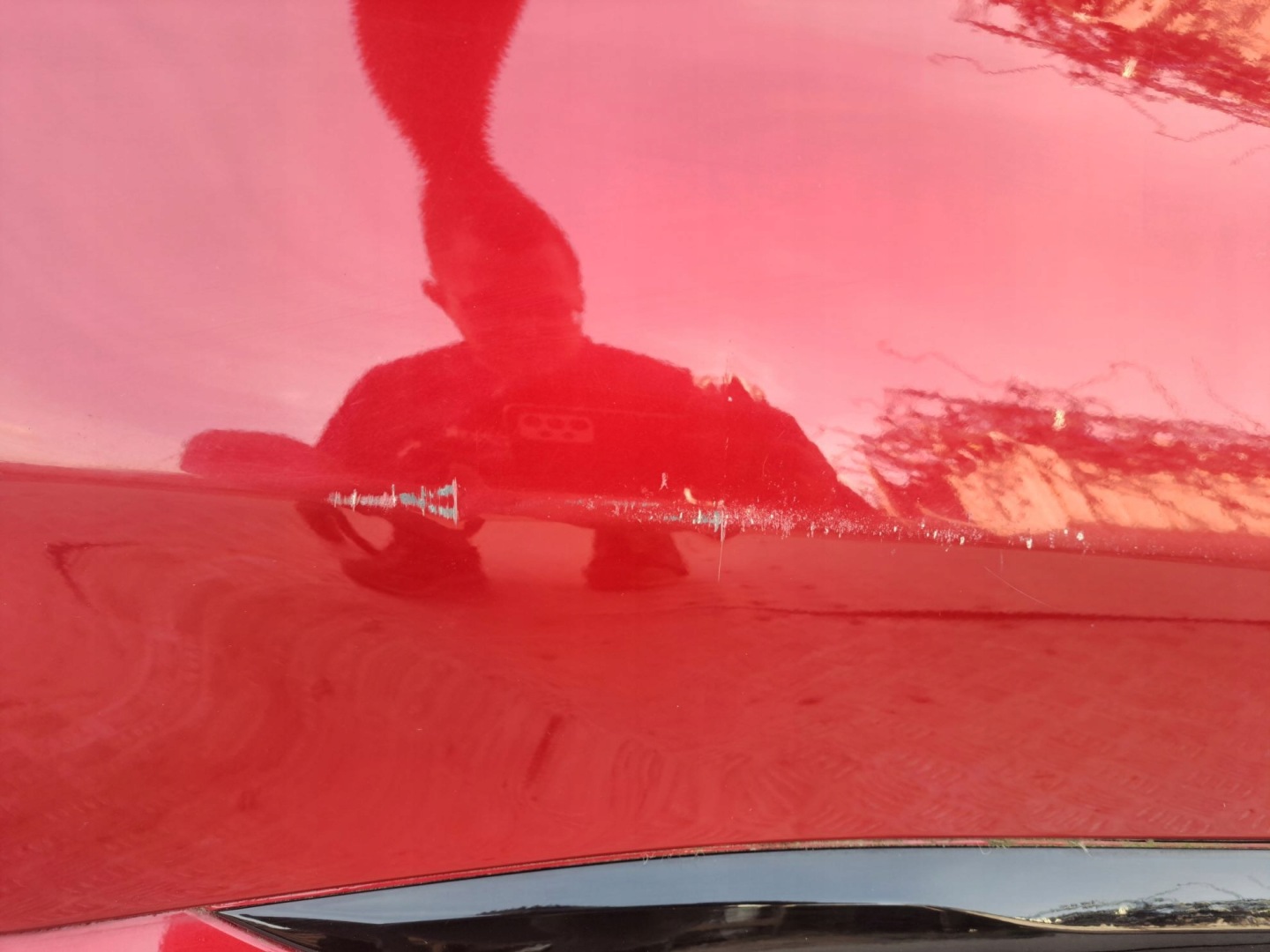 Ford Puma II Mk2 Tür Hinten Rechts Door Porta Porte - Thumbnail 3
