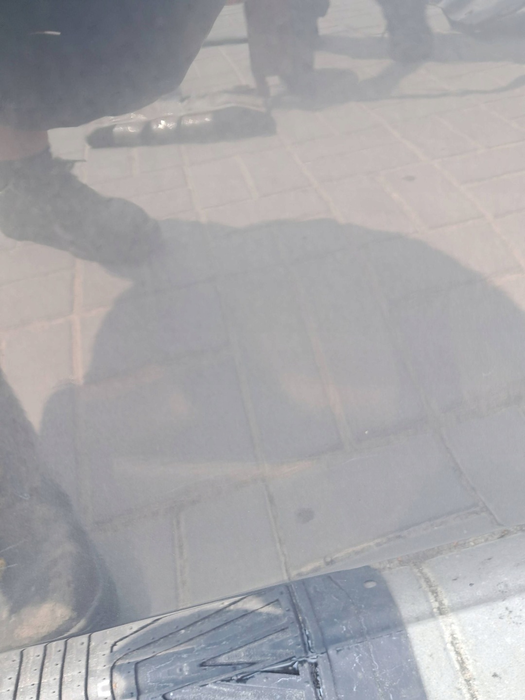 Citroen C4 Tür Vorne Rechts Door Porta Porte - Thumbnail 6