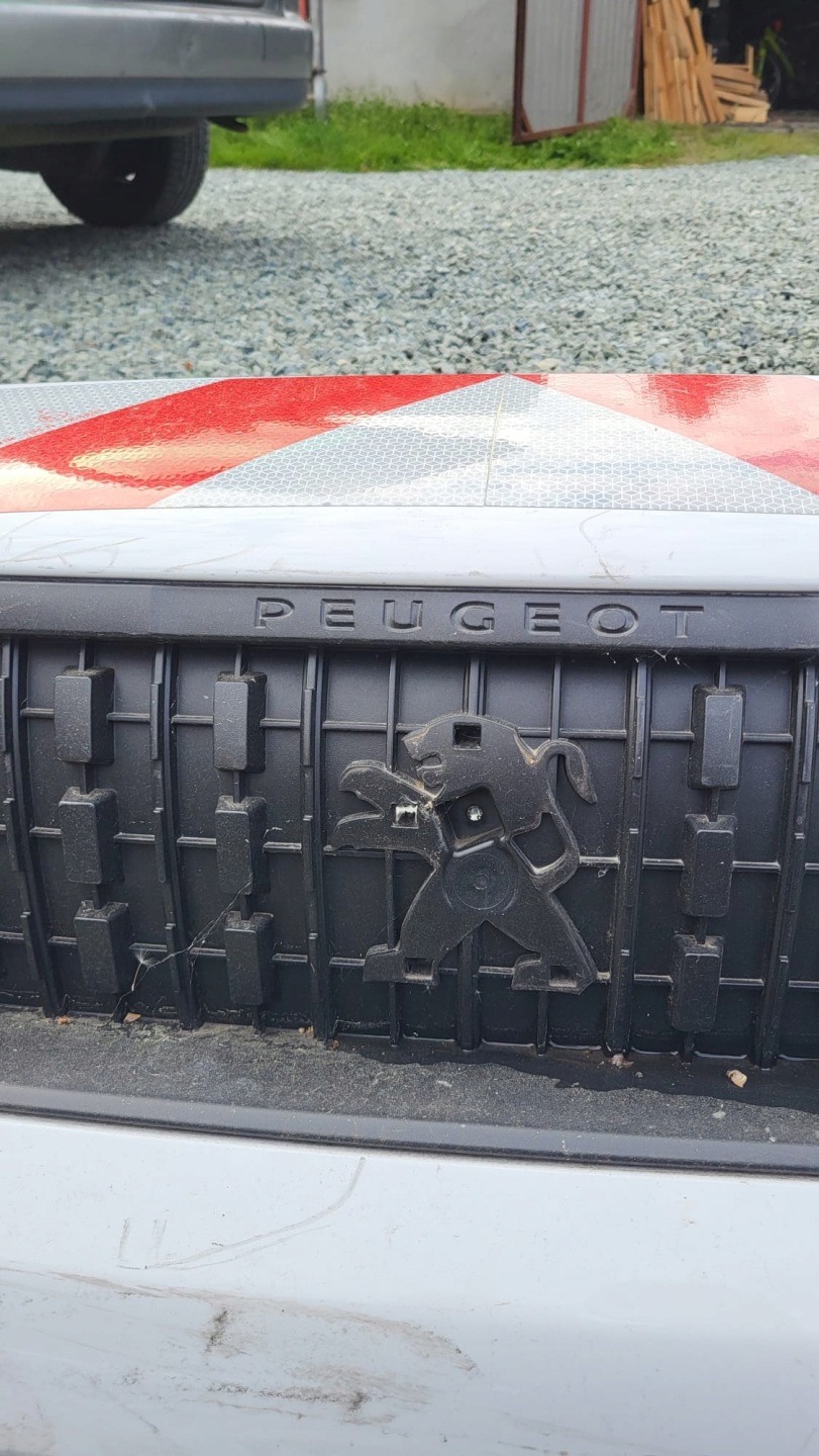 Peugeot Expert B* Kühlergrill FRONTGRILL Kühlergitter 9808639777 - Thumbnail 9