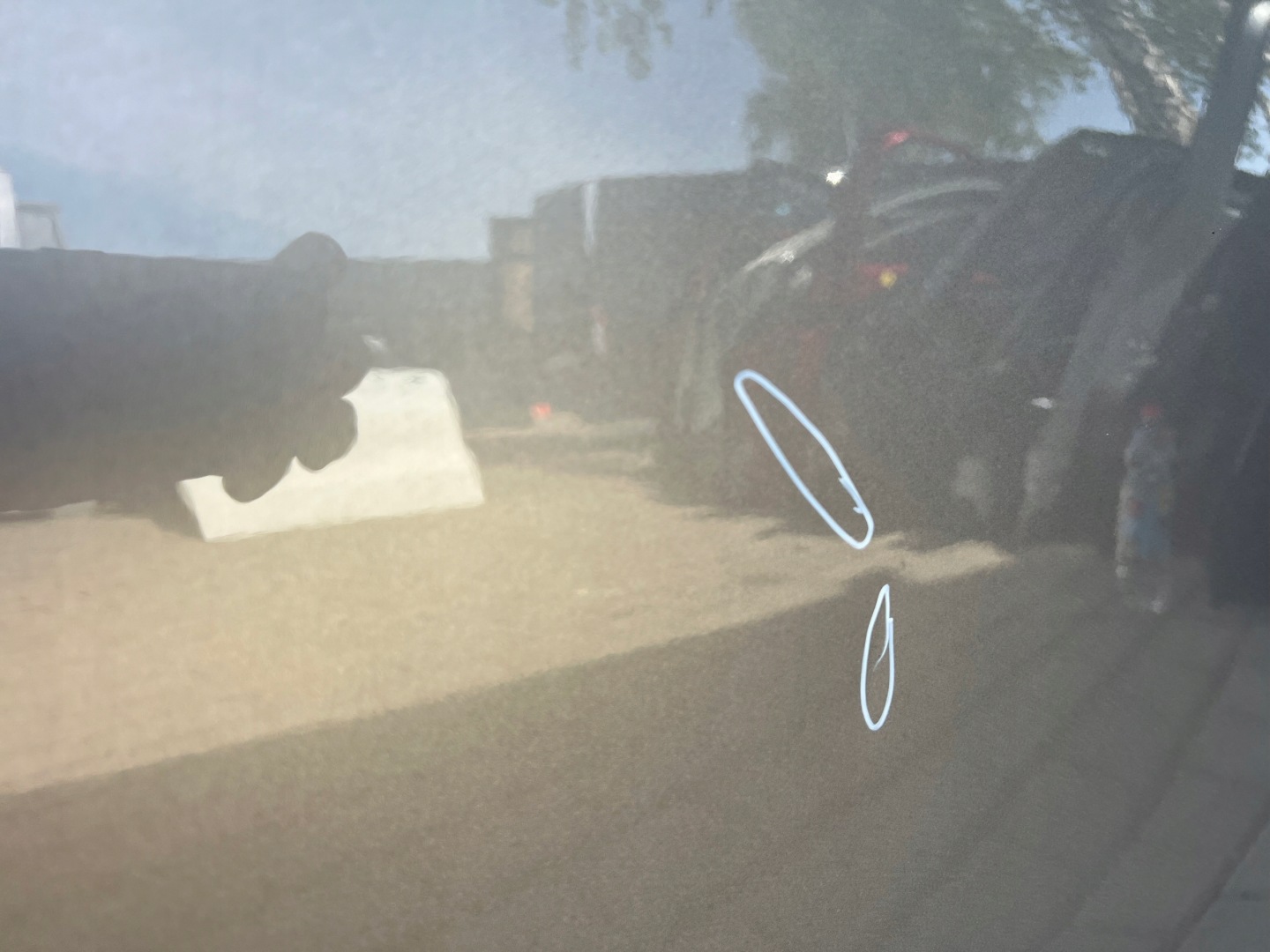 BMW 5 G61 Tür Vorne Rechts Door Porta Porte - Thumbnail 11