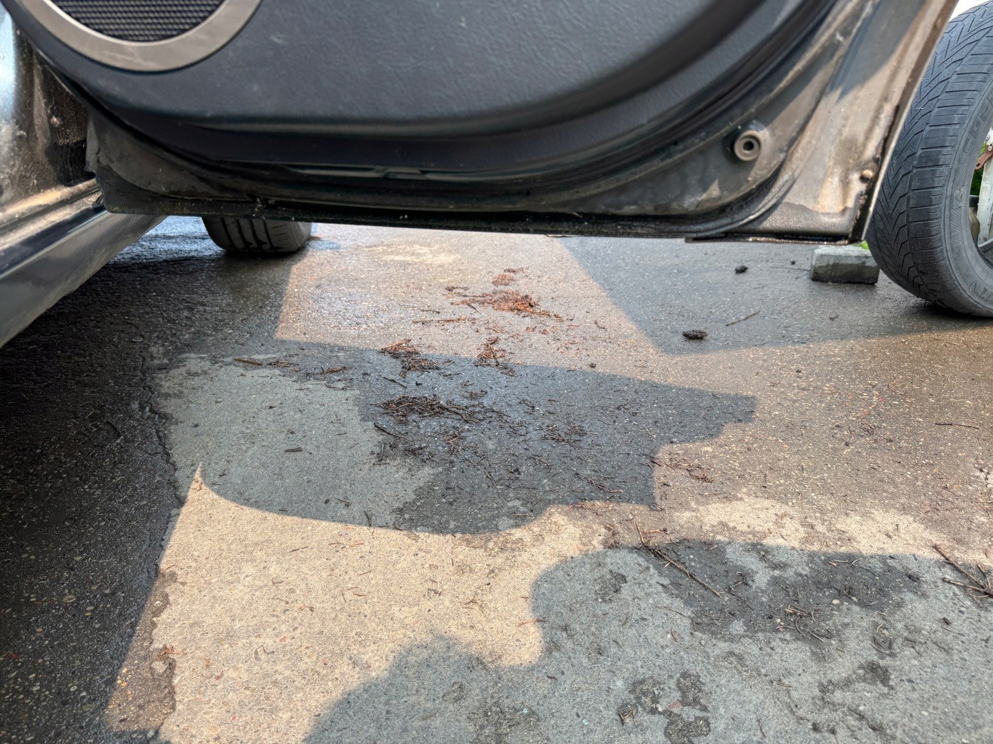 Toyota RAV4 XA5 Tür Hinten Rechts Door Porta Porte - Thumbnail 9