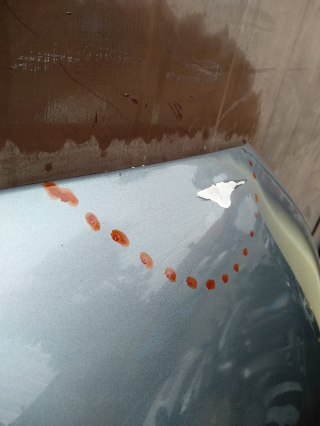Motorhaube BMW 5 G31 Bonnet Hood - Thumbnail 6
