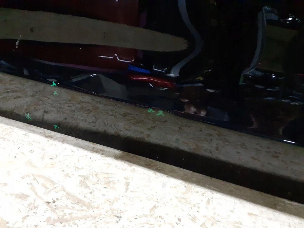 Tesla Model 3 003 Tür Vorne Links Door Porta Porte - Thumbnail 6