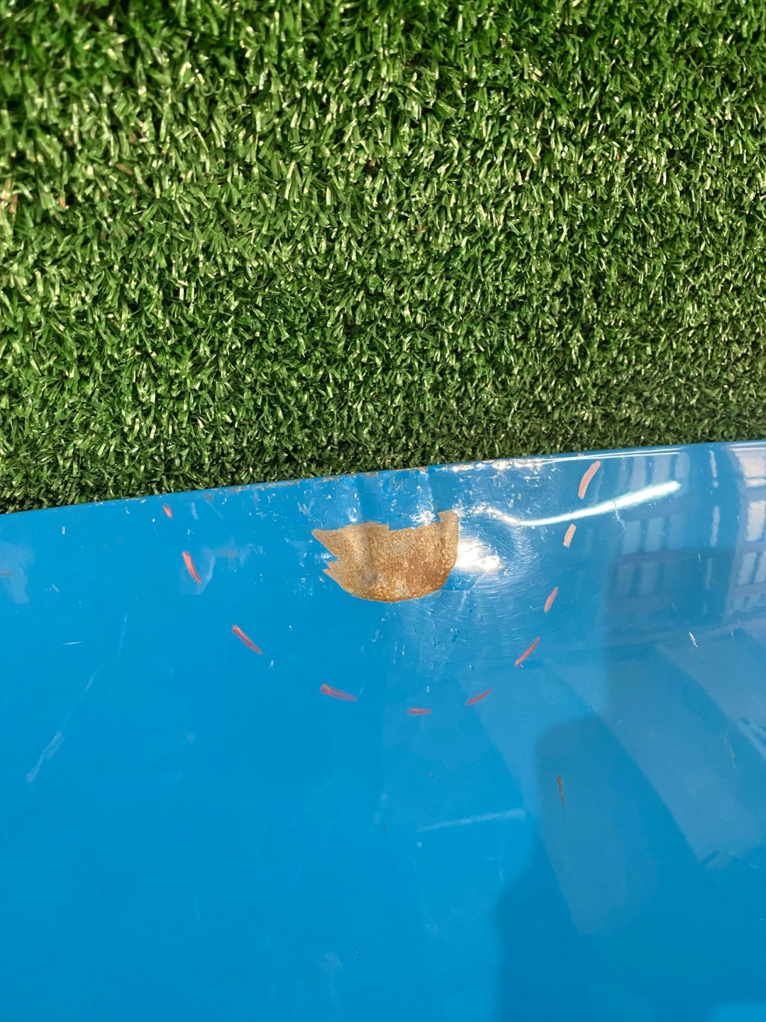 Motorhaube Hyundai Kona OS Bonnet Hood - Thumbnail 2