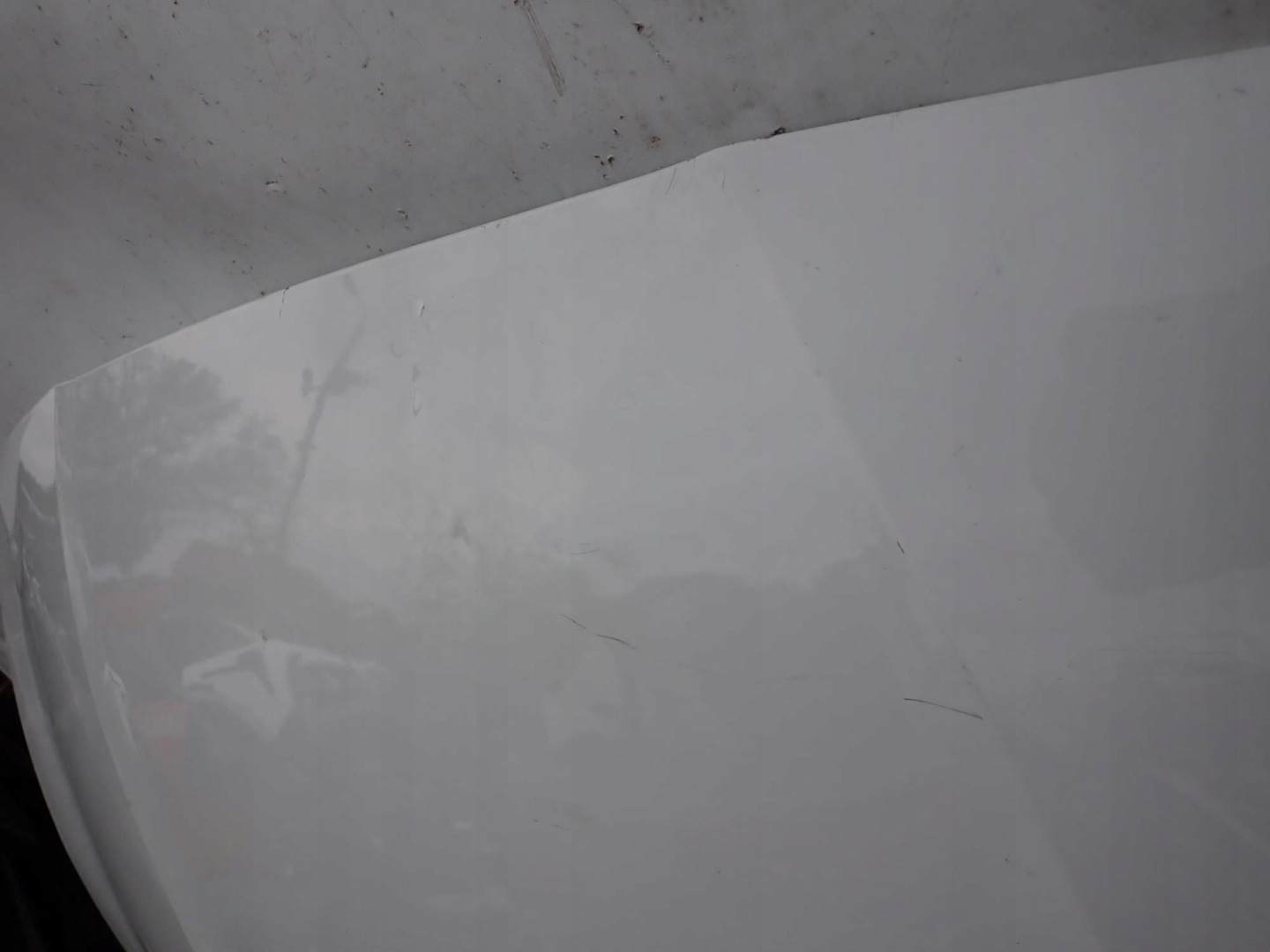 Motorhaube SEAT Leon IV 5F Bonnet Hood - Thumbnail 9